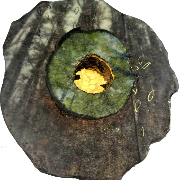 What Tree Sees, 2026