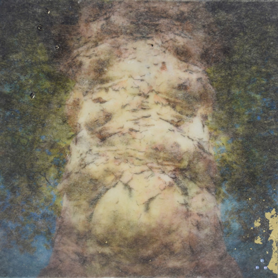 Kukunochi©DaminiCelebre.com