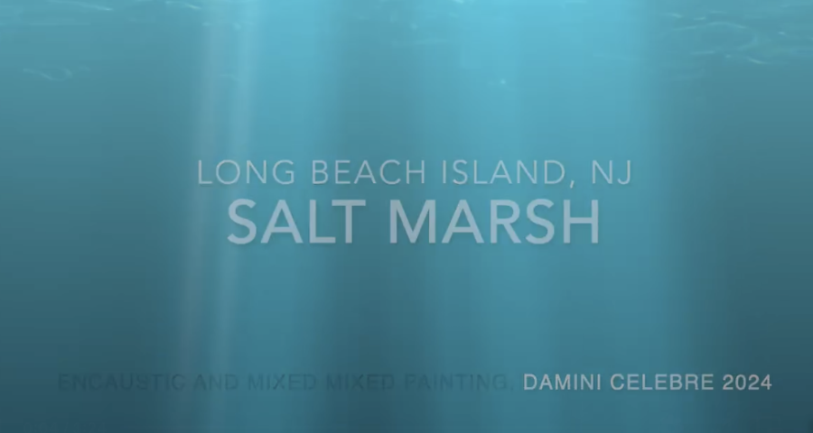 Salt Marsh video